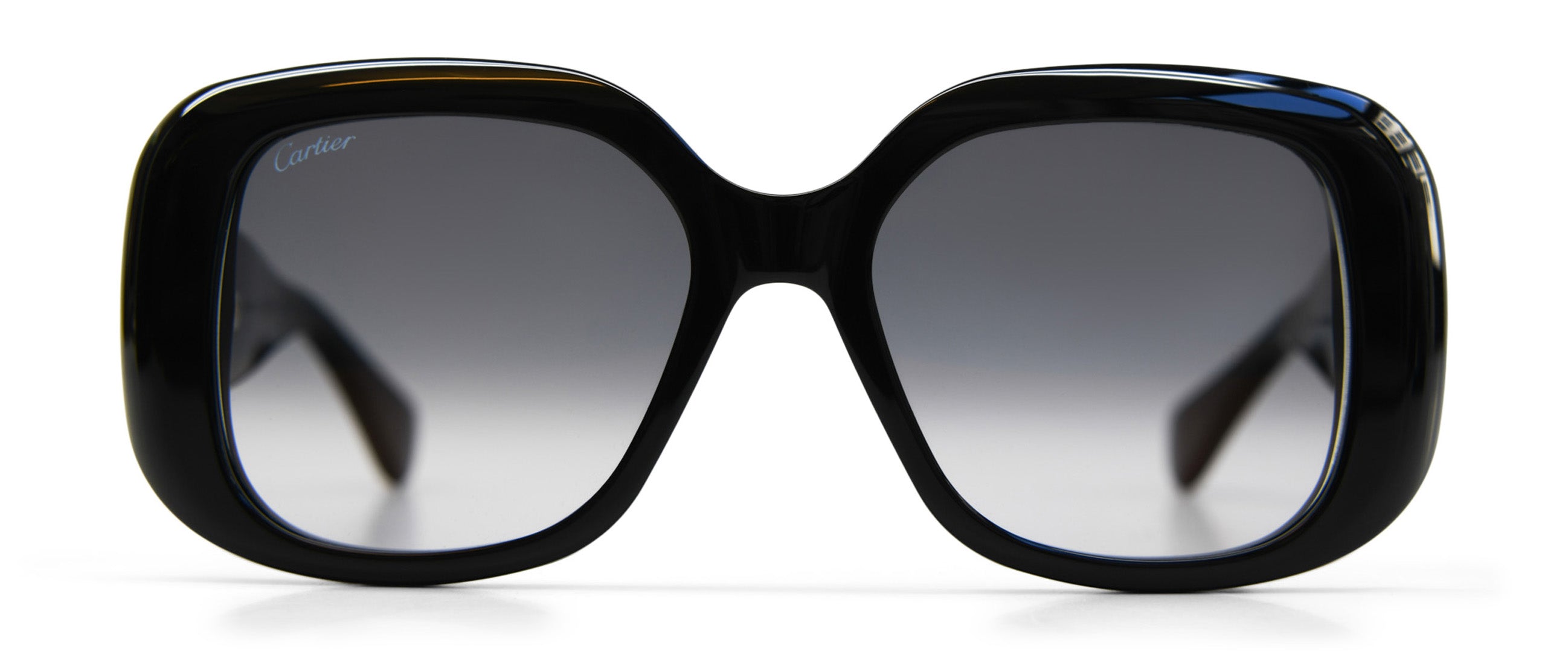 Cartier | CT0471S Sun | Visionist