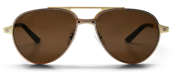 Cartier-CT0476SSun-008-