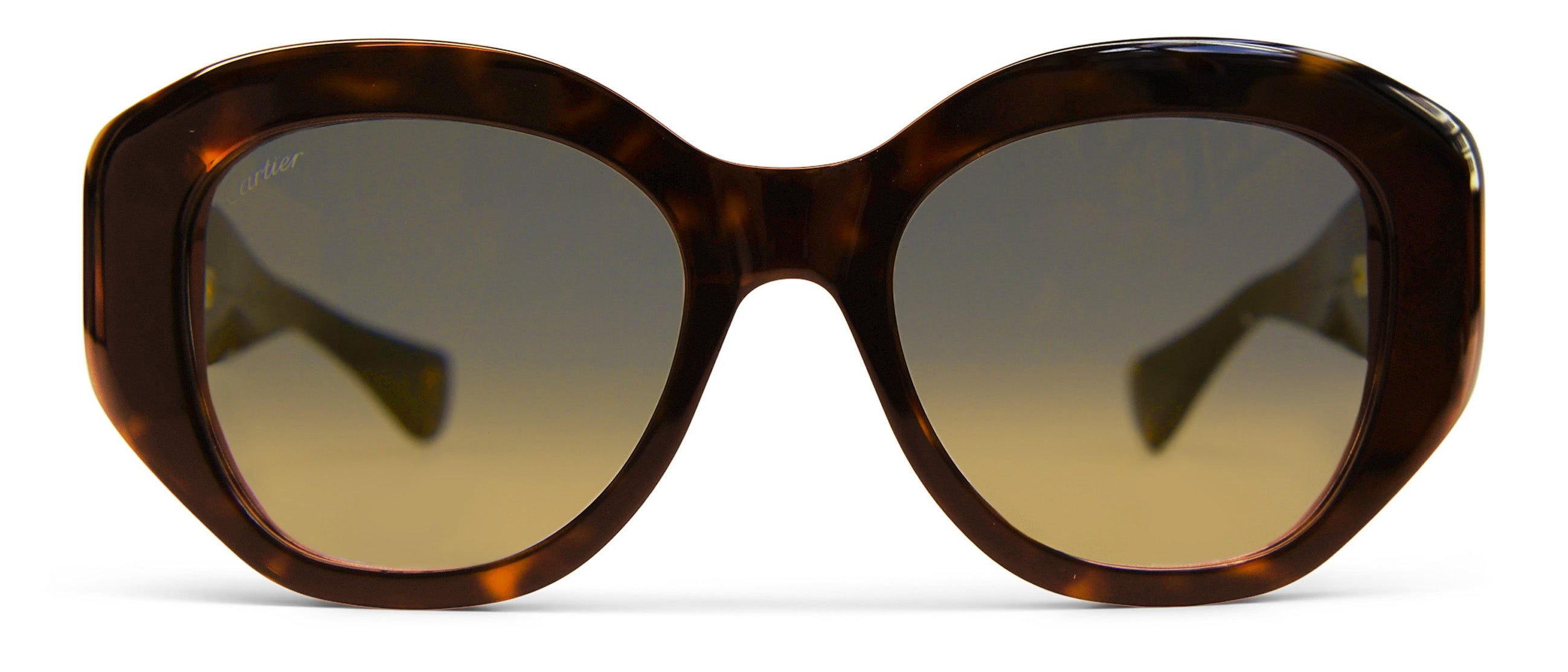 Cartier | CT0502S Sun | Visionist