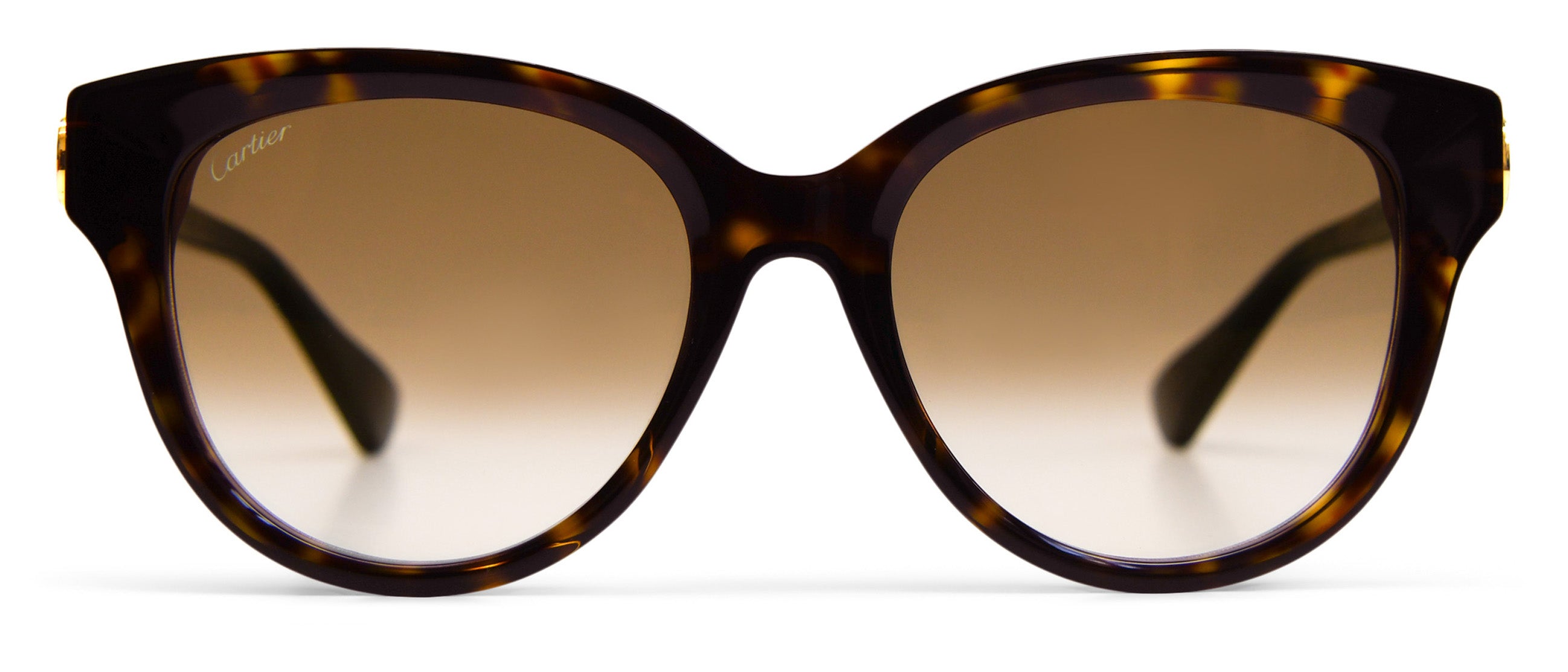 サングラス Cartier Cartier - CT0506S - 002 havana havana brown Cartier CT0506S 002 Sunglasses Dark Tortoise - eye-oo.com