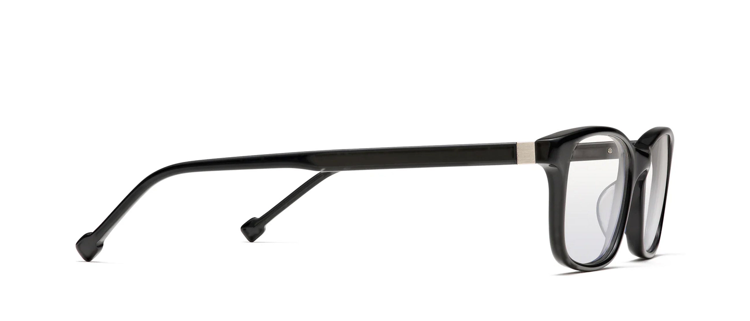 Kiku – Visionist