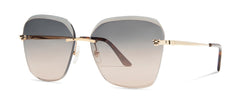 cartier ct0147s