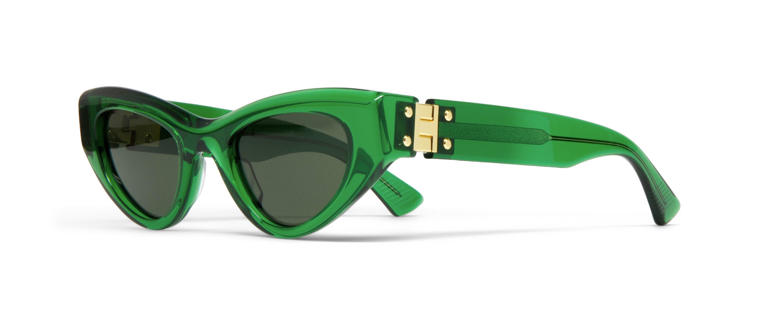 Bottega Veneta 100% UVA & UVB Sunglasses for Women