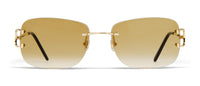 CT0011RS