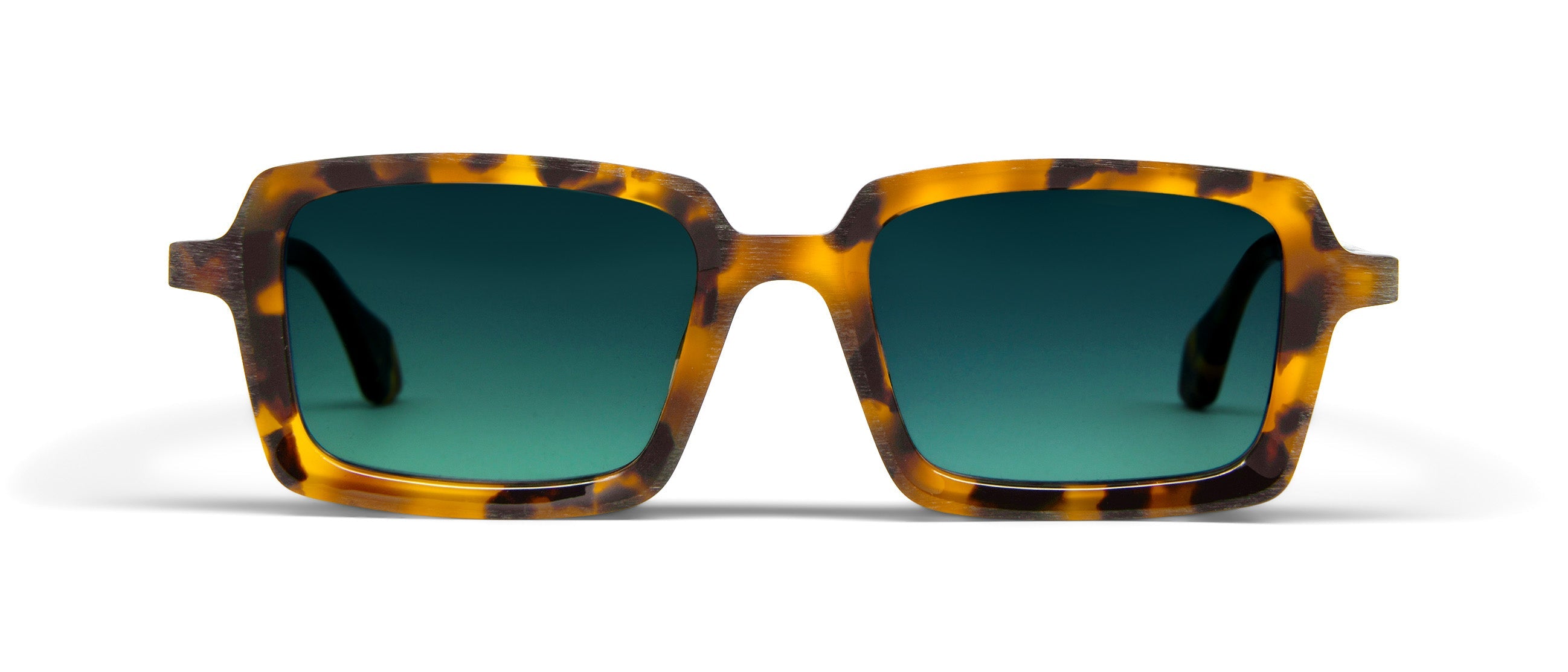 SHOHEI OTOMO「つむじ風」+額縁 Smalti by THEO | Try on glasses online & find optician | FAVR